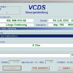 Anpassung-DPF-Aschemasse-VCDS[1]